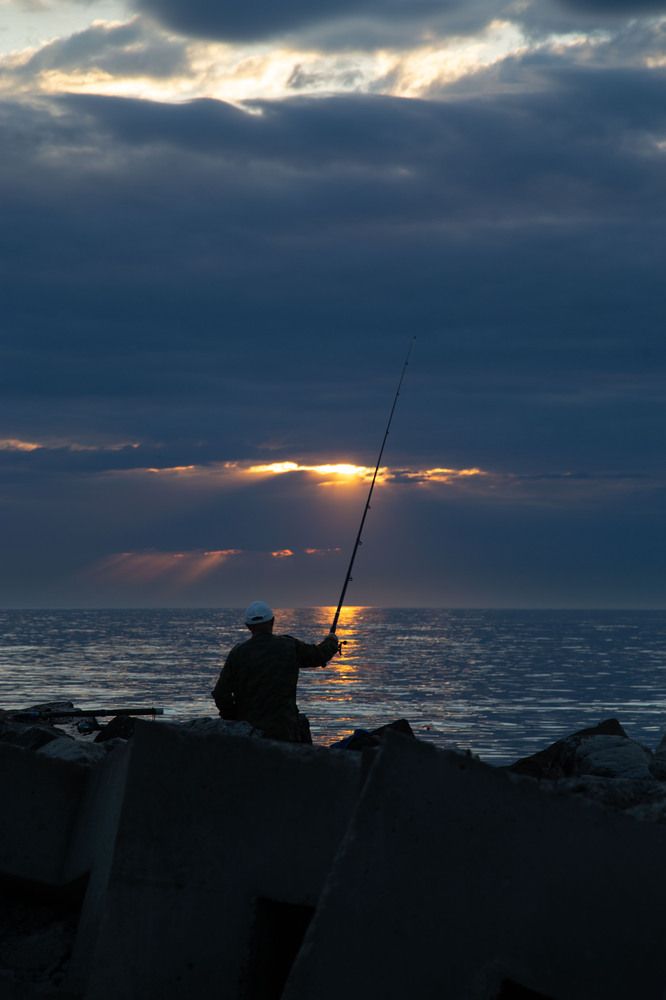 Photograph by Синицын Дмитрий