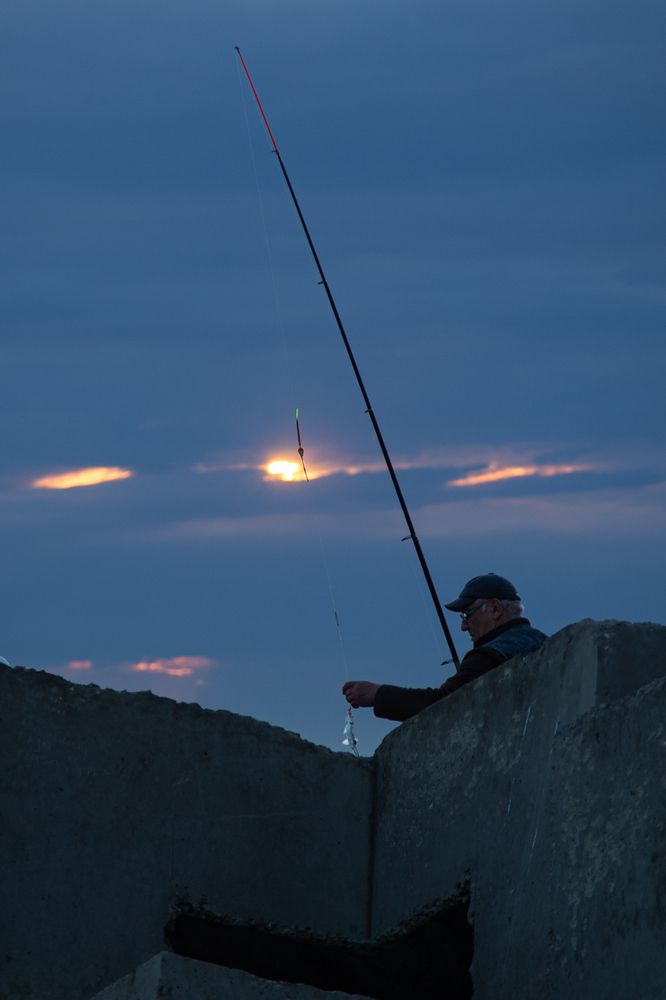 Photograph by Синицын Дмитрий