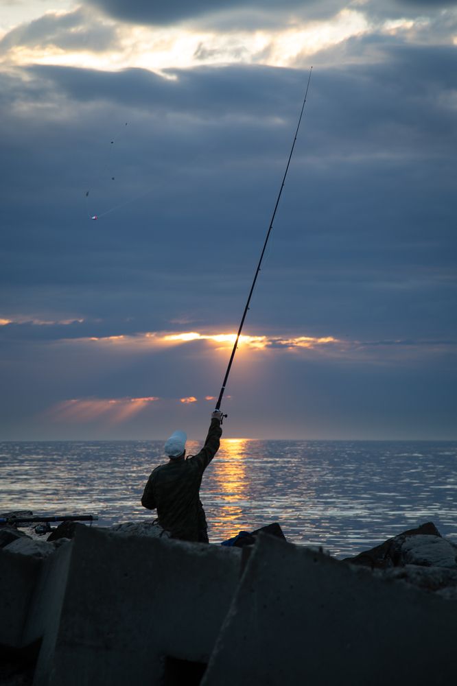 Photograph by Синицын Дмитрий