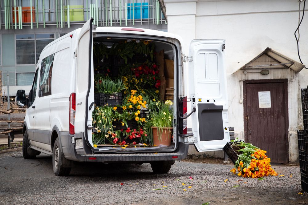 Photograph by Синицын Дмитрий