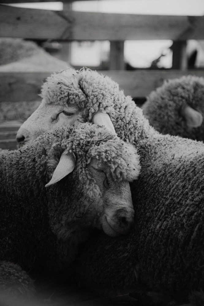 Photograph by Дмитрий Синицын