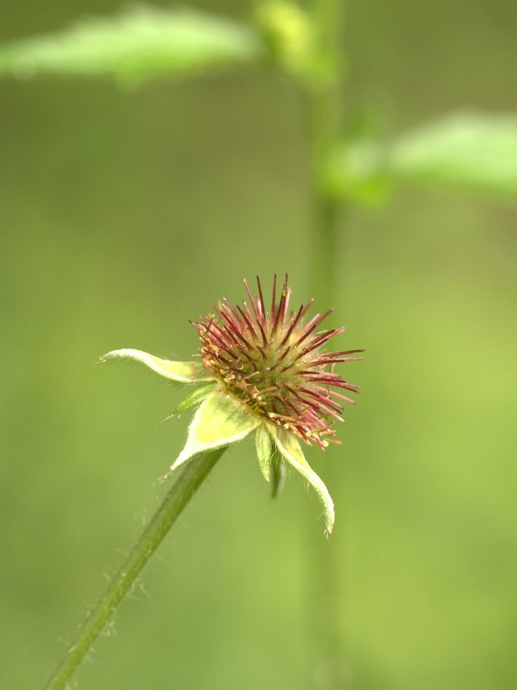 Фотография автора Clarise Joy Evangelista