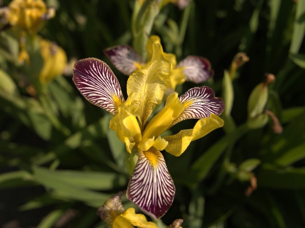 Фотография автора Clarise Joy Evangelista