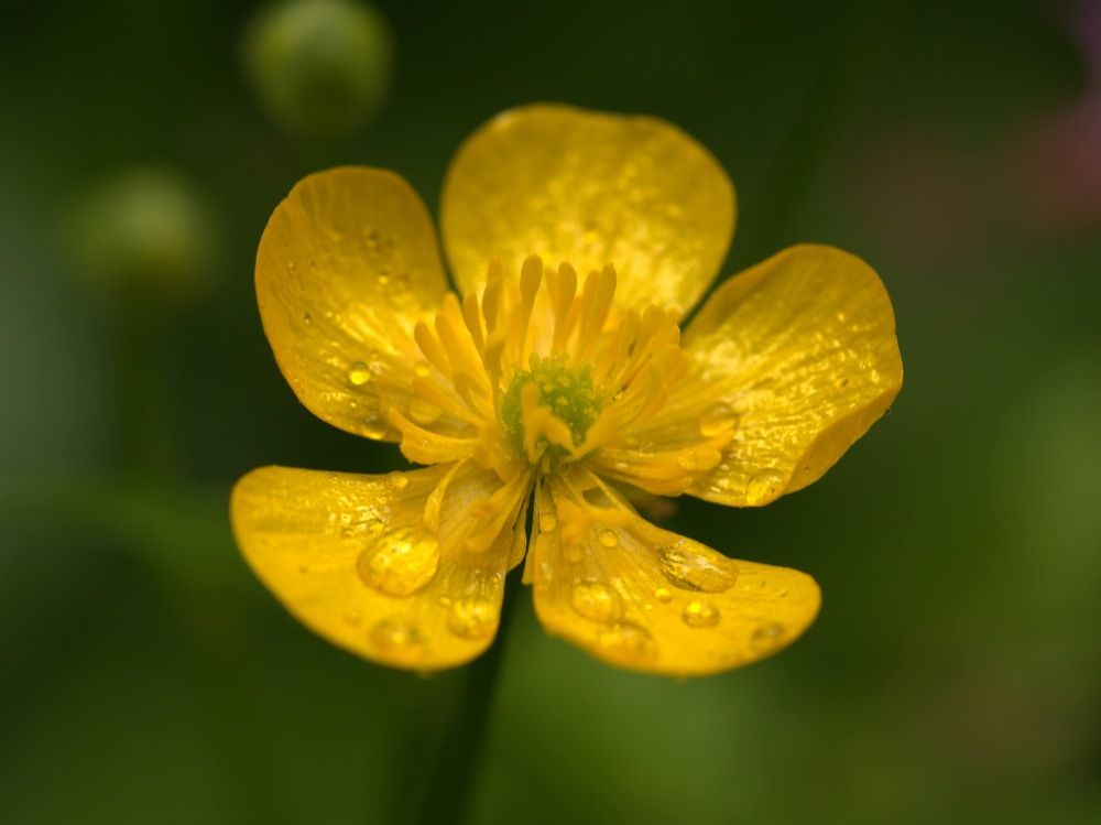 Фотография автора Clarise Joy Evangelista