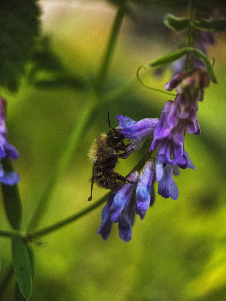 Photograph by Анна Рыжикова