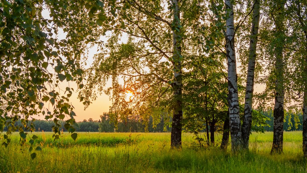 Photograph by Алиса