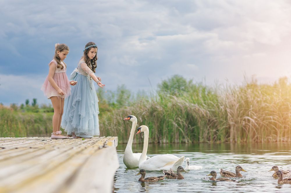 Photograph by ALEJANDRA LACOSTA JIMENEZ