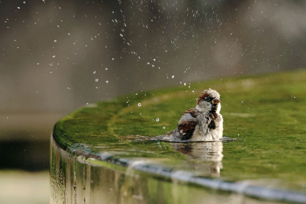 Photograph by Бурыкин Илья