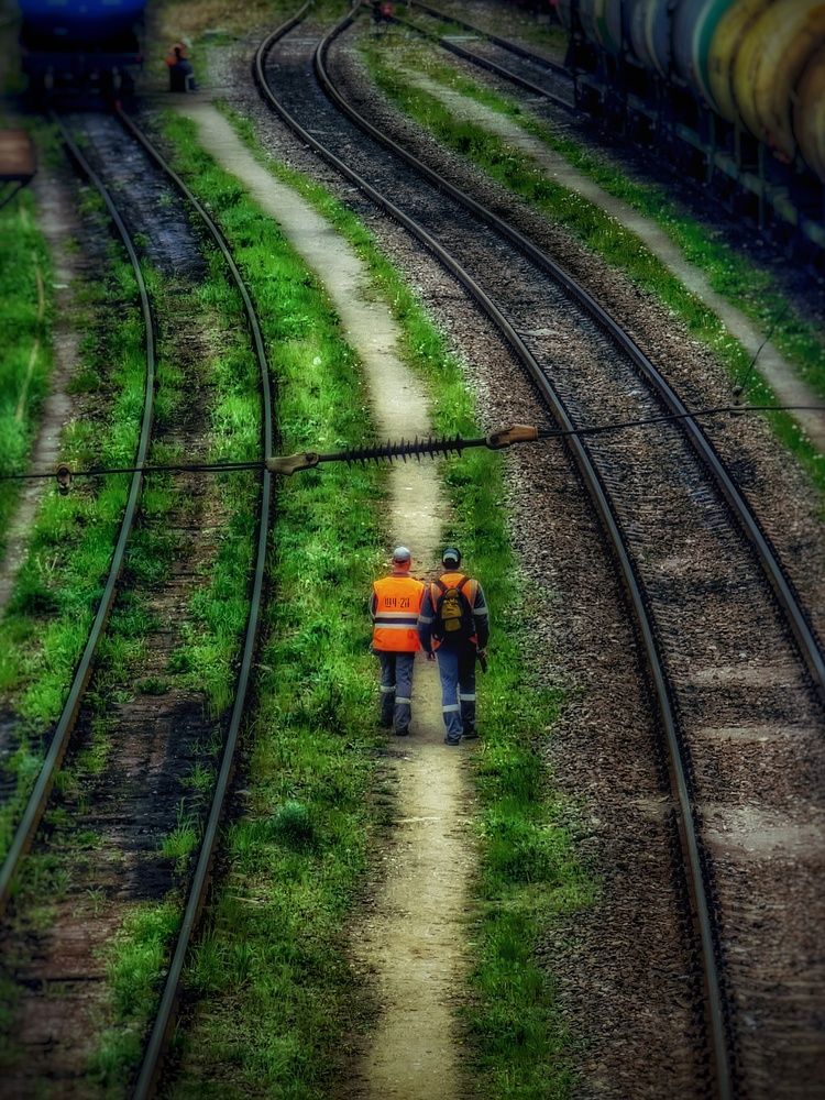 Photograph by Алена Самошина