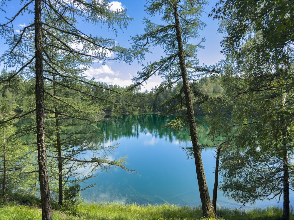 Photograph by Галина Шиманцова