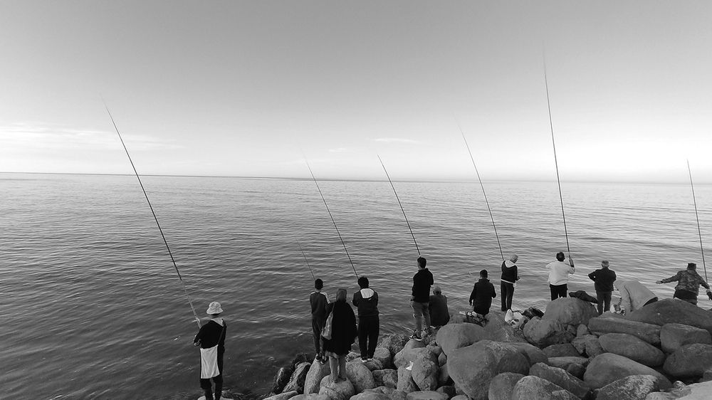 Photograph by Javad Tafti Farashah