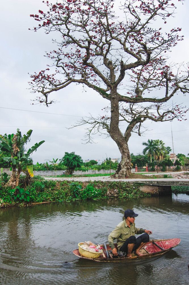 Photograph by Ninh Quốc Trịnh