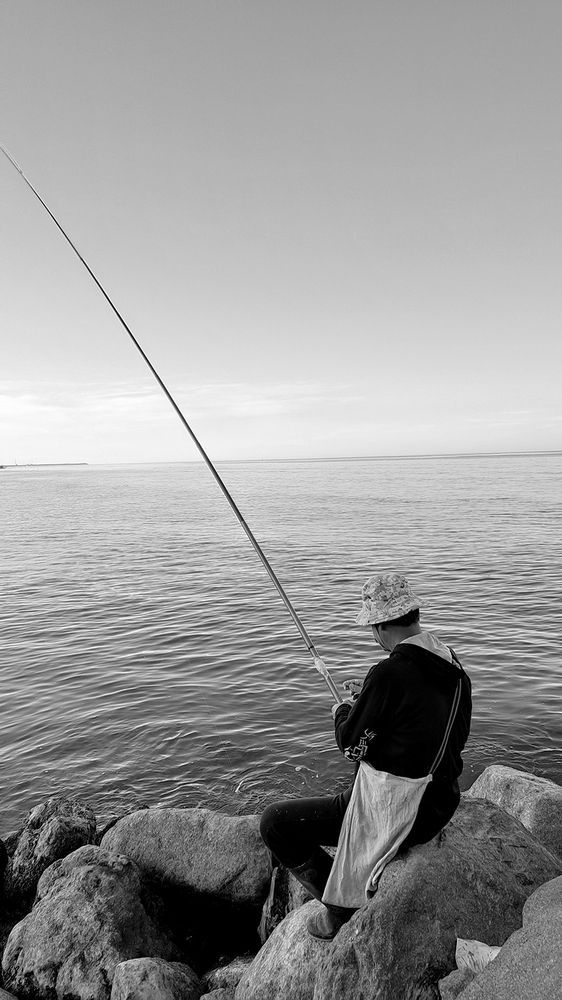 Photograph by Javad Tafti Farashah