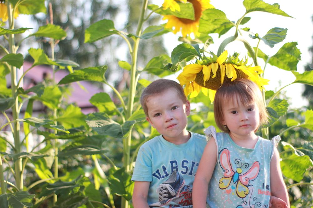 Photograph by Алёна Анфимова