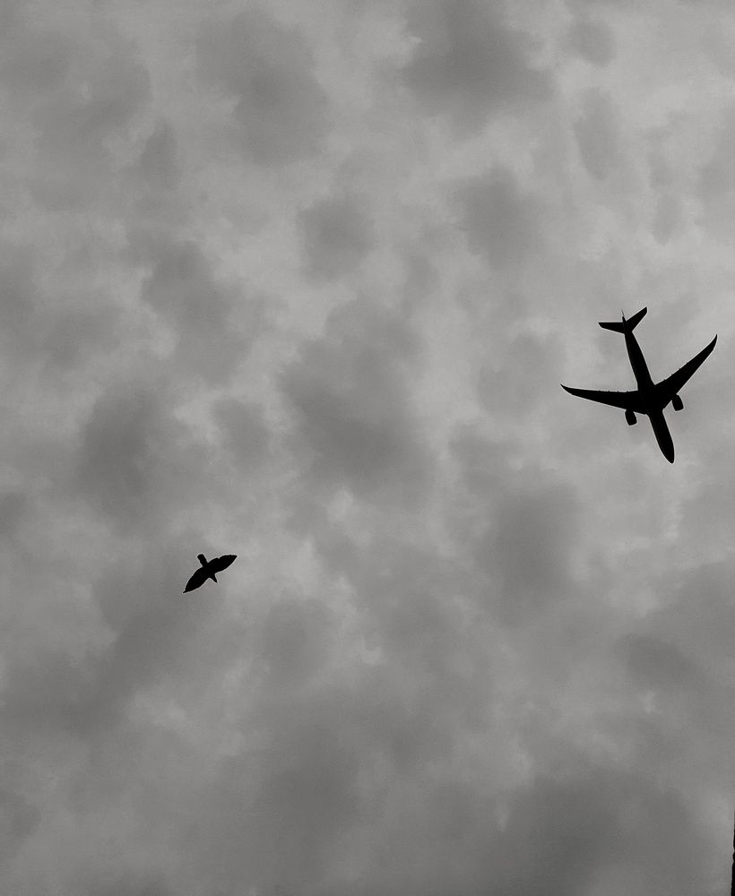 Photograph by Yug Shah