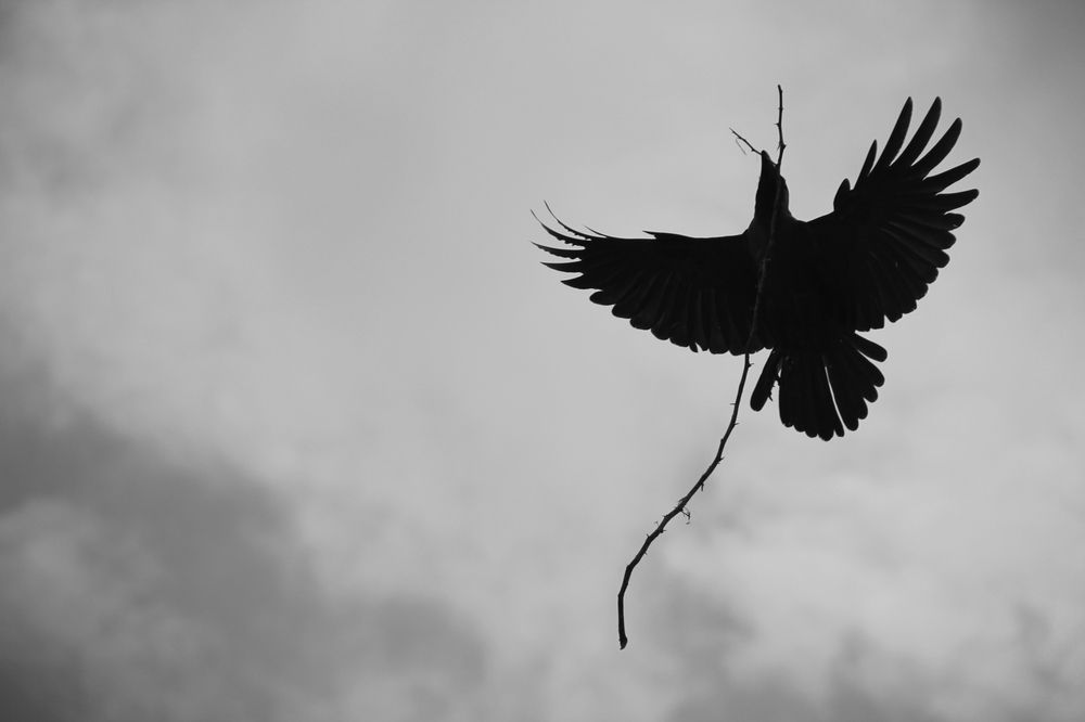 Photograph by Priyanka Modh Photography