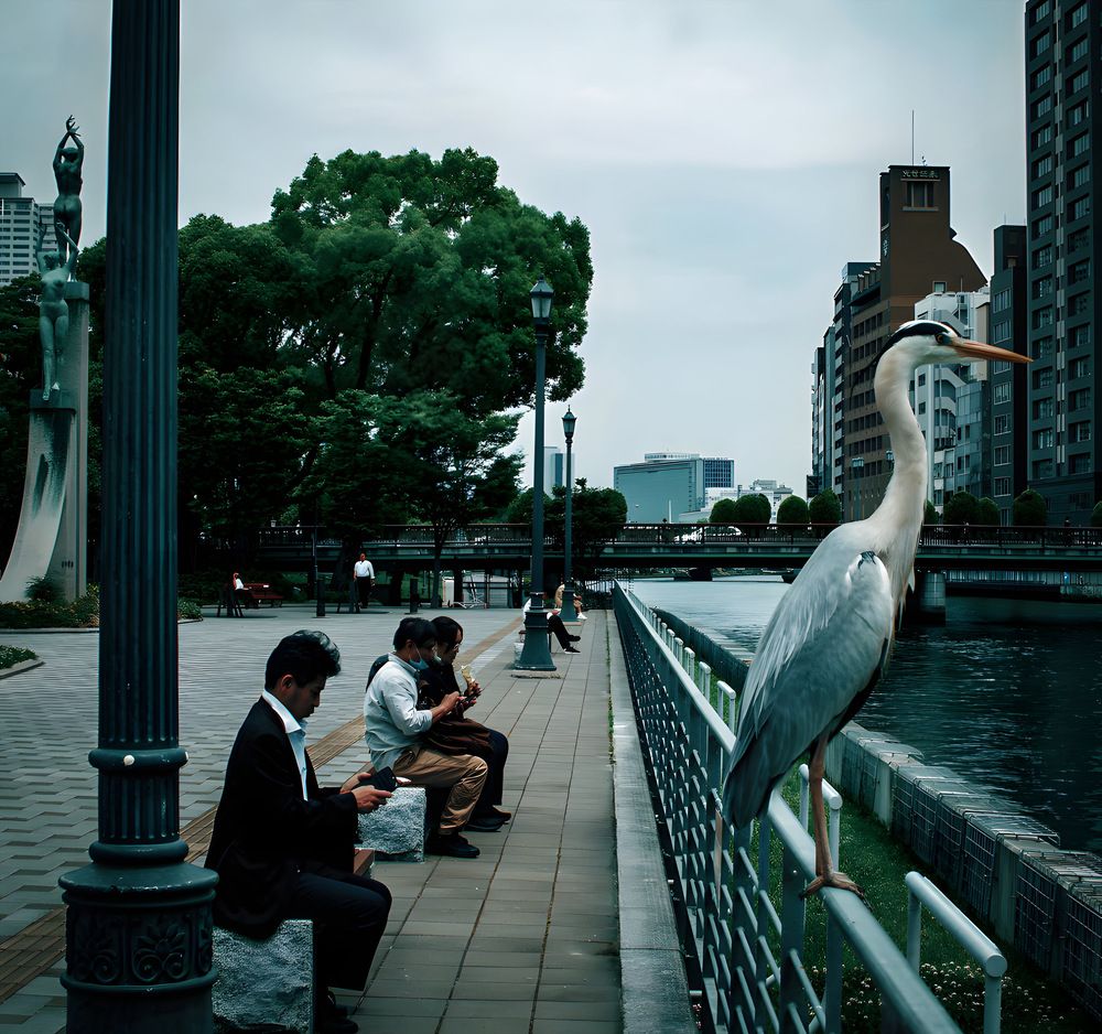 Фотография автора Mutsuaki