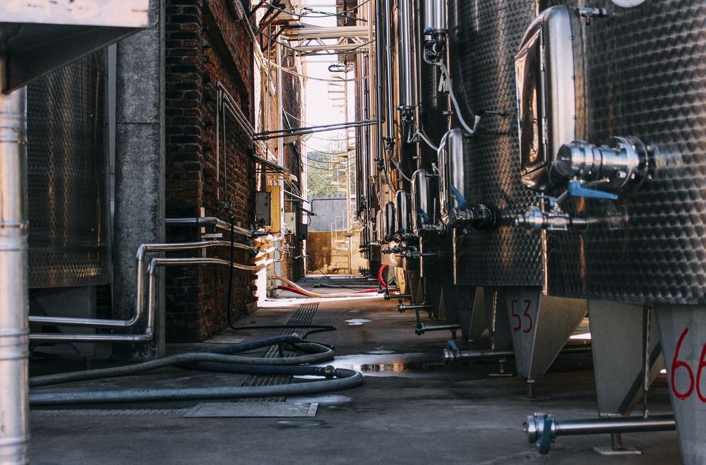 Photograph by Анастасия Лидяева