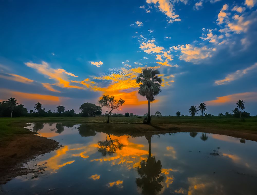 Photograph by Susanta Jana