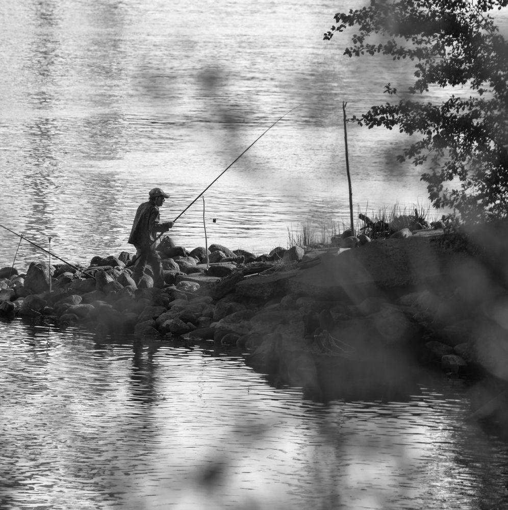 Photograph by Александр Селезнев