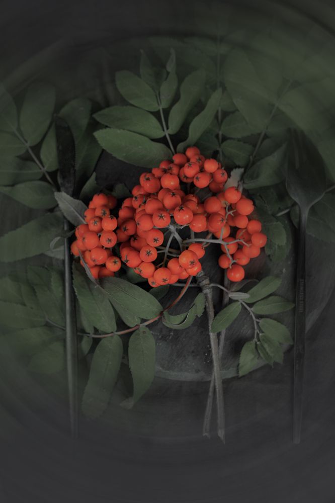 Photograph by Мария Лавриненко