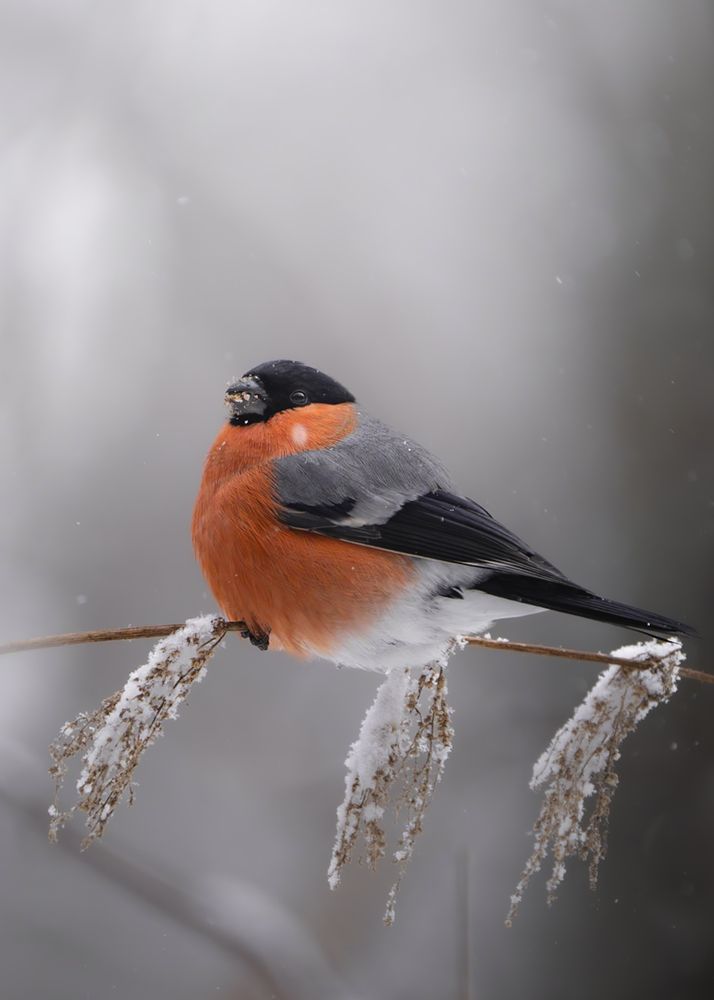 Photograph by Matei Firică