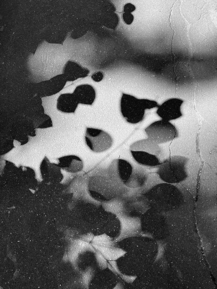 Photograph by Татьяна Лышенко