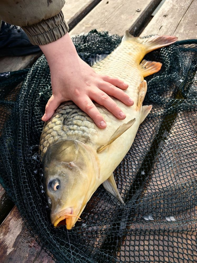 Photograph by Натали Захарова (Тай)