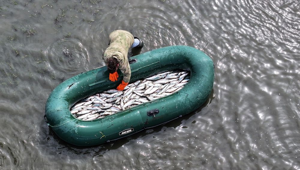 Когда ведра мало