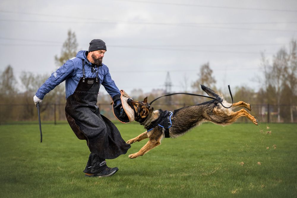 Photograph by Марина Соловьева