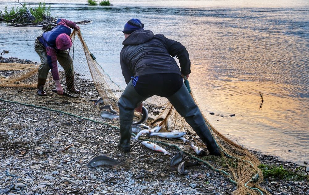 Рыбалка оптом