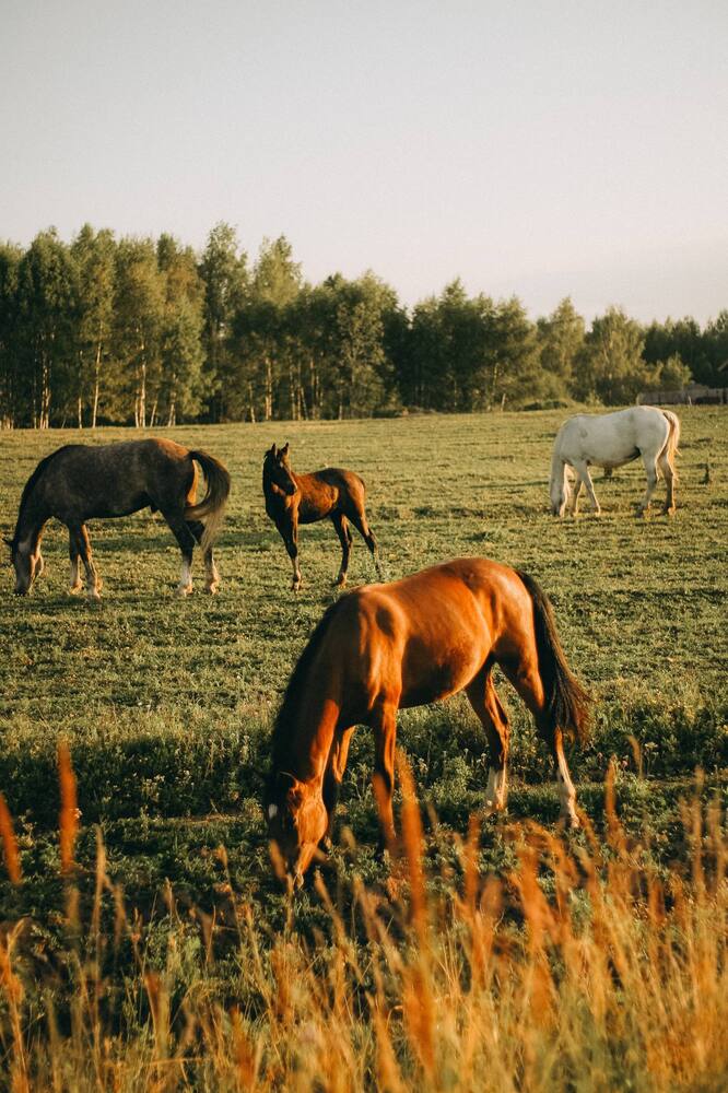 Photograph by Юлиана Новикова