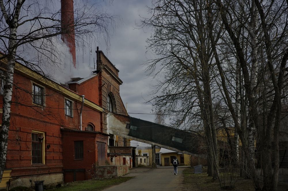 Photograph by Yana Egorova