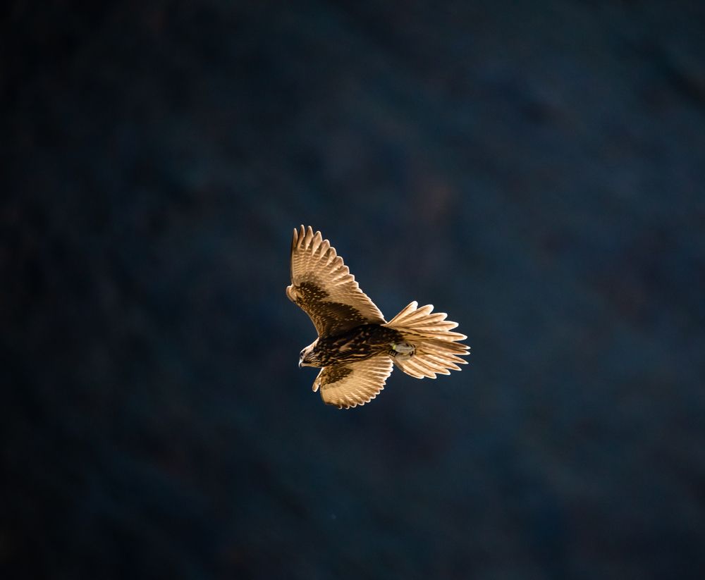 Photograph by Svetlana Porokhovnikova