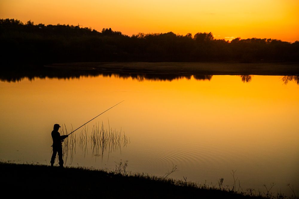 Фотография автора Панагушин Сергей