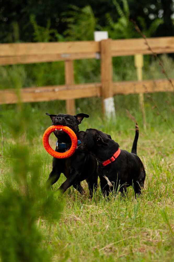 Photograph by Lubov Kirsanova