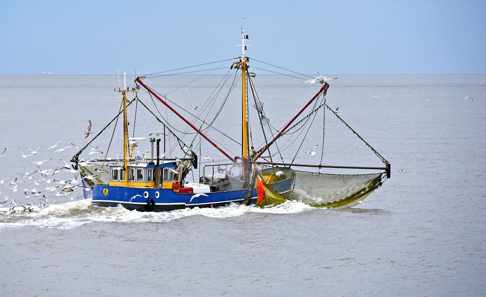 Photograph by Marjo Steffen