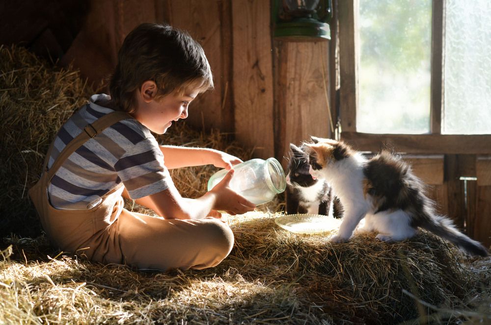 Photograph by Ирина Ефимова