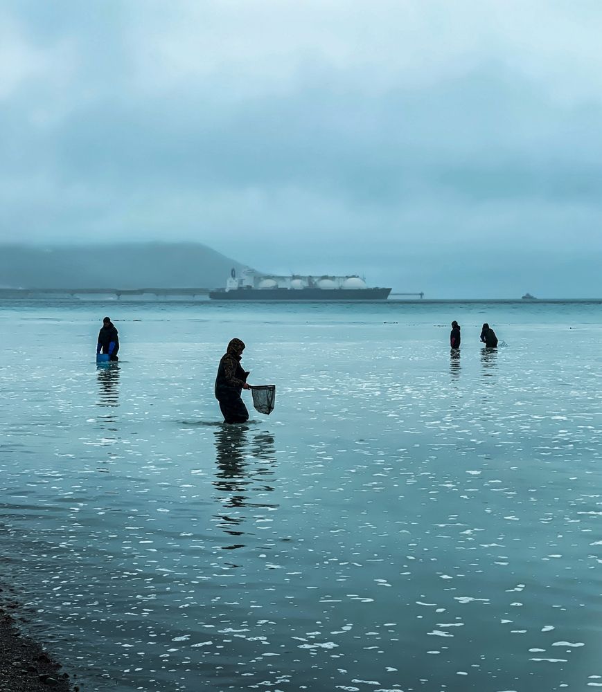 Фотография автора Елена Меньшикова