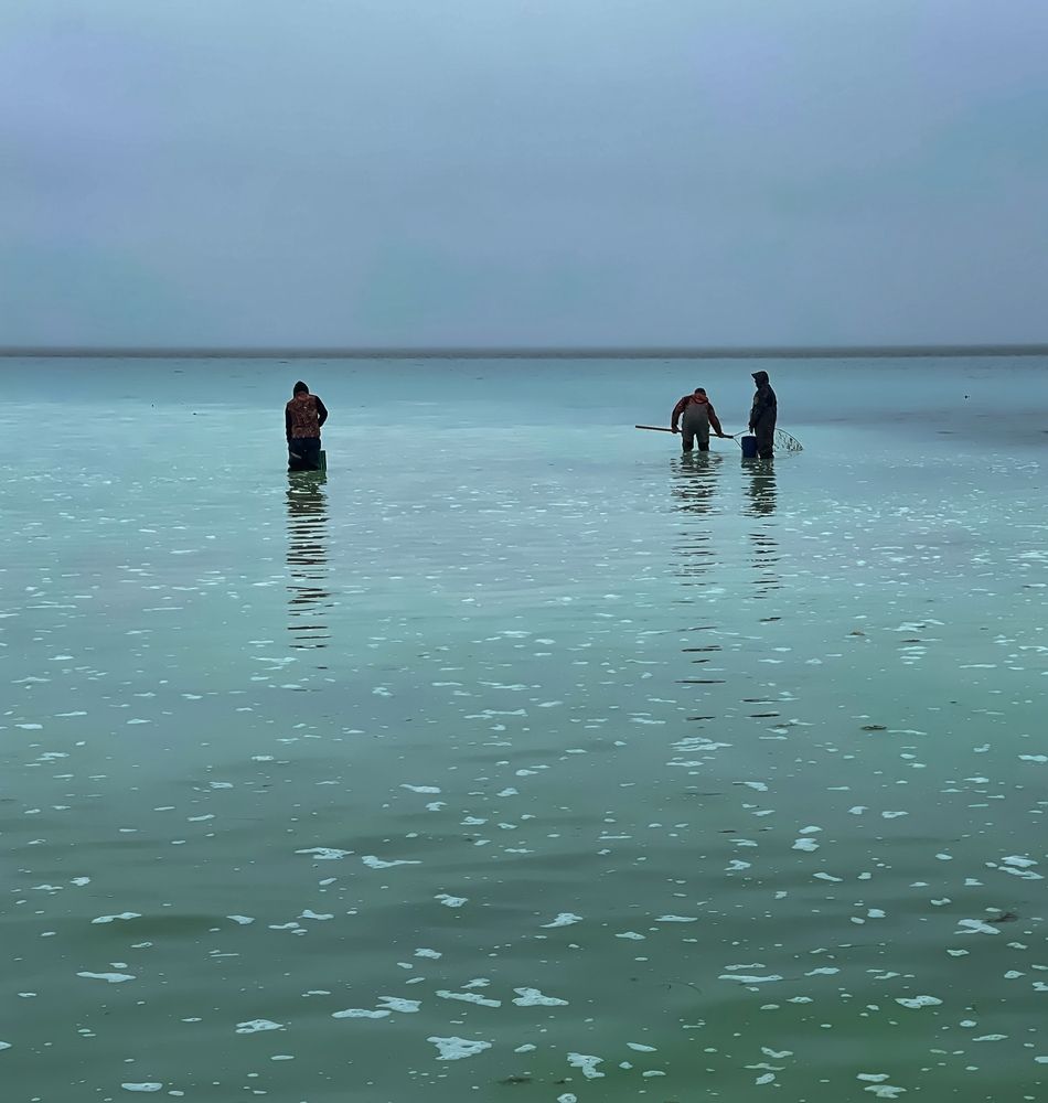 Фотография автора Елена Меньшикова