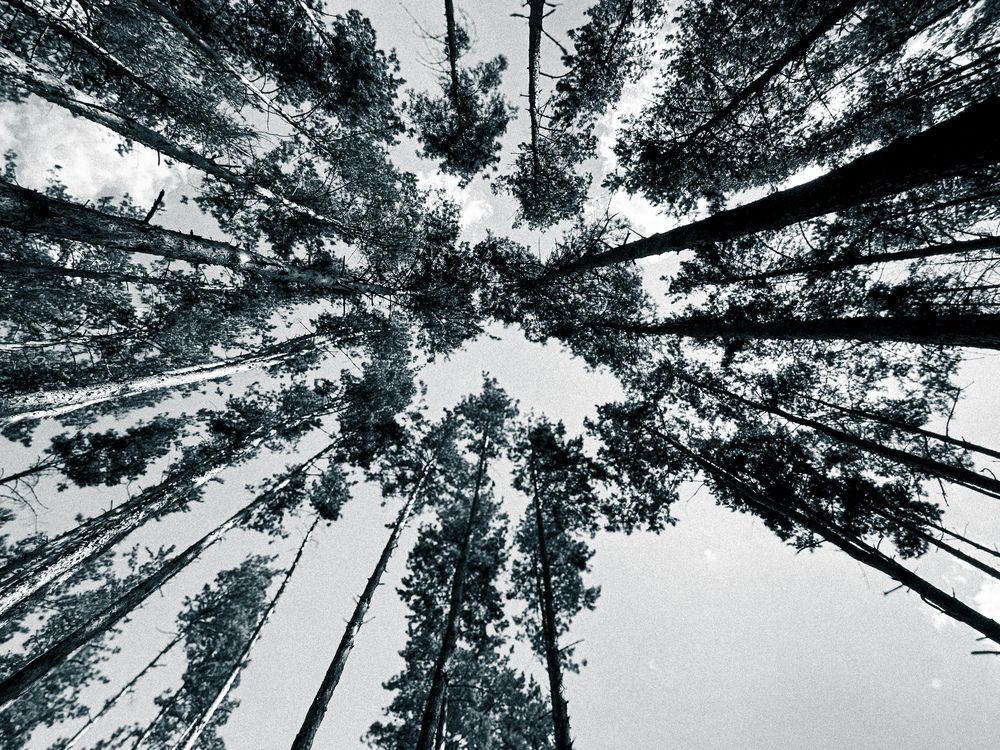 Photograph by Vladimirova Daria