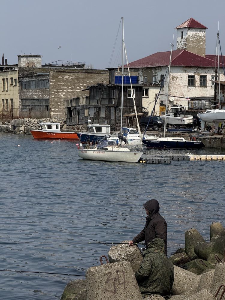 Фотография автора Елена Меньшикова