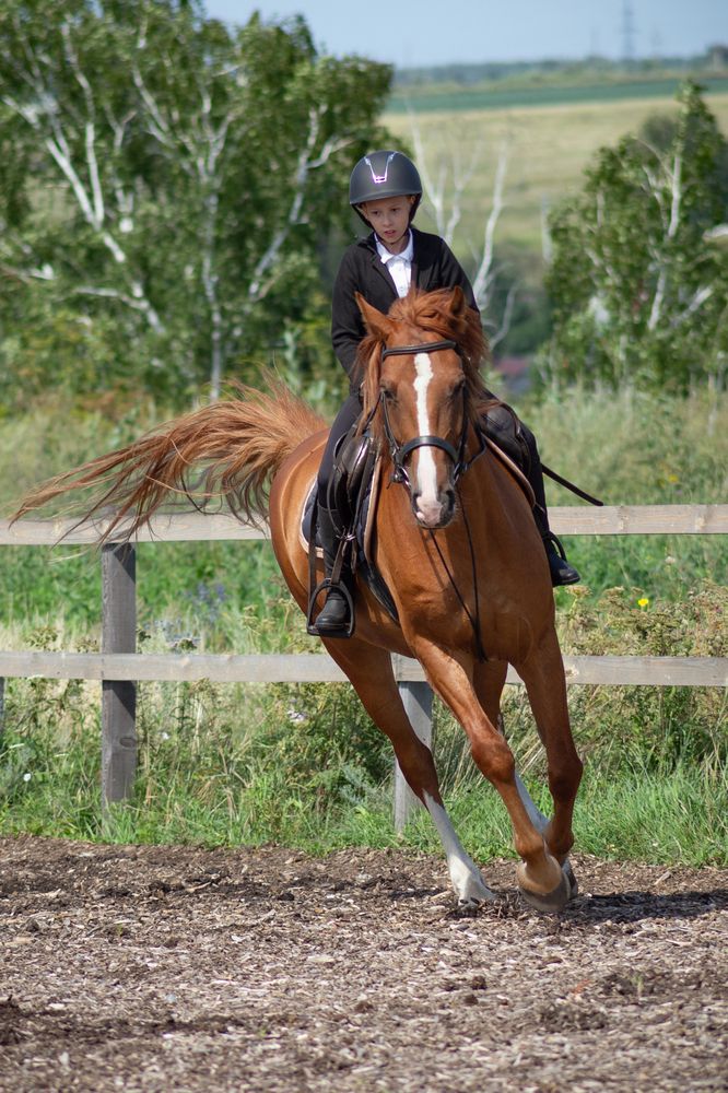 Photograph by Елена Абрамова