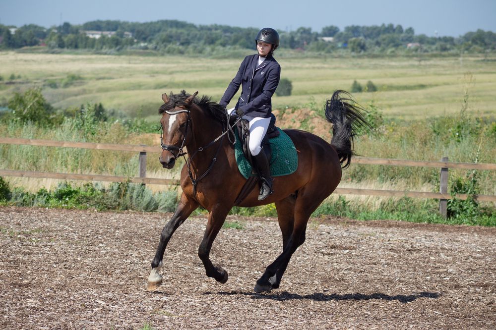 Photograph by Елена Абрамова