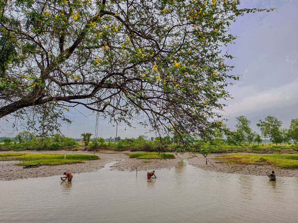 Фотография автора Shuvadeep Paul