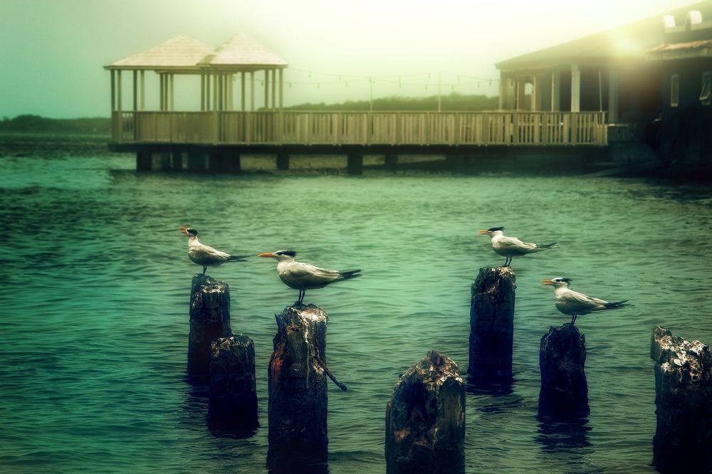 Photograph by Marcos Alejandro Ferreira Reyes