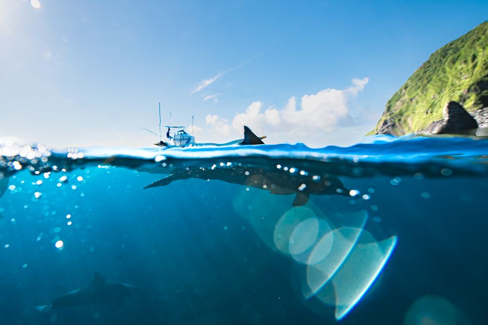 Photograph by nishijima takayuki