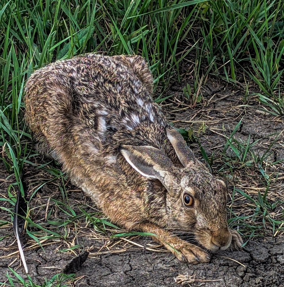 Photograph by Олег Башкуров