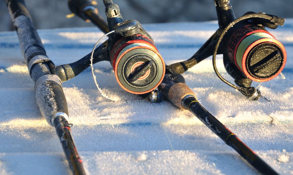 Photograph by Андрей Куликов