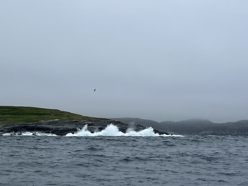 Photograph by Болдырева Ольга